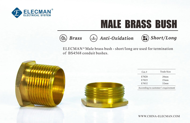 MALE BRASS BUSH.jpg